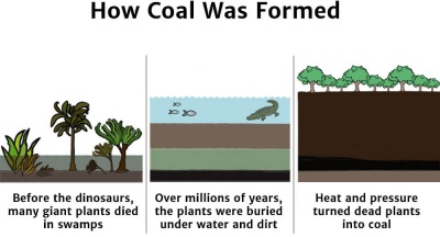 Coal Formation Diagram