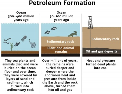 Formation Of Fossil Fuels Diagram