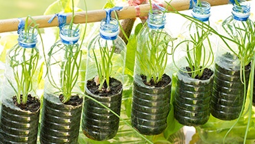 recycle bottles plants
